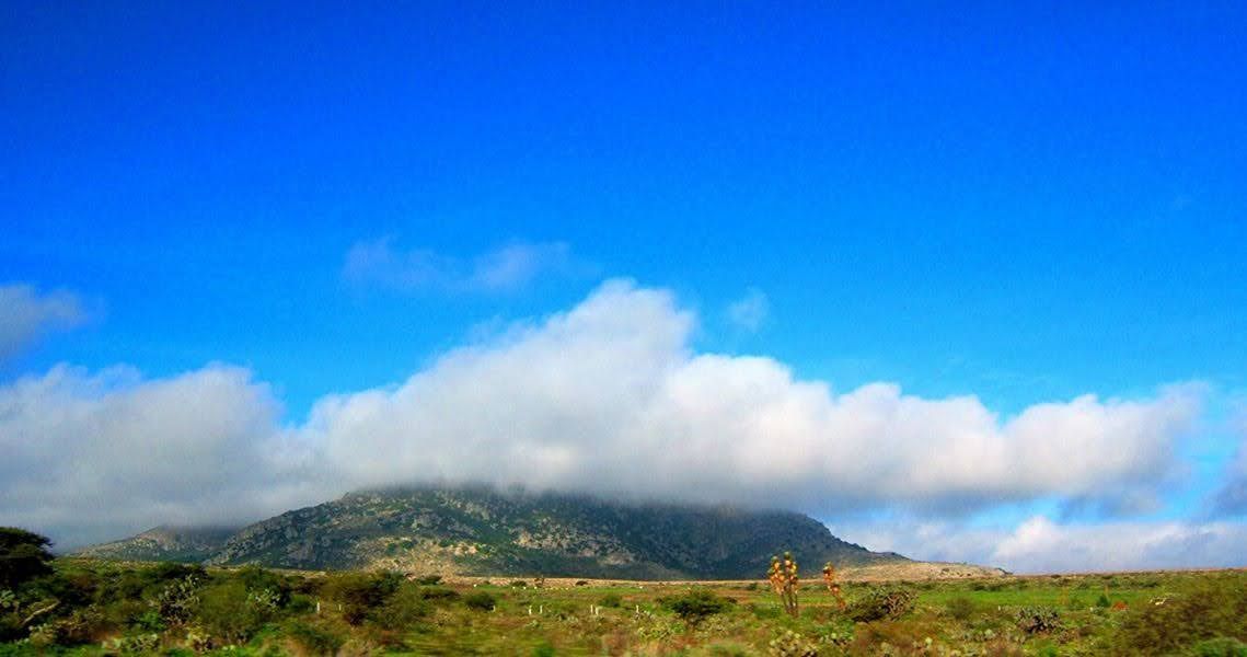Paisaje semidesértico de la Sierra Gorda de Guanajuato